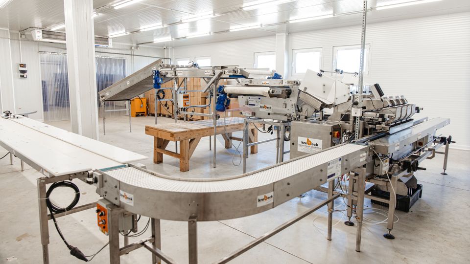 BUSINESS DE VANZARE Plantatie de afin din Romania