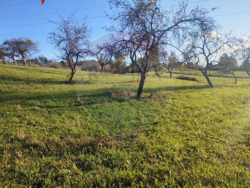 Land 1,808sqm Sisesti / Strada Principala