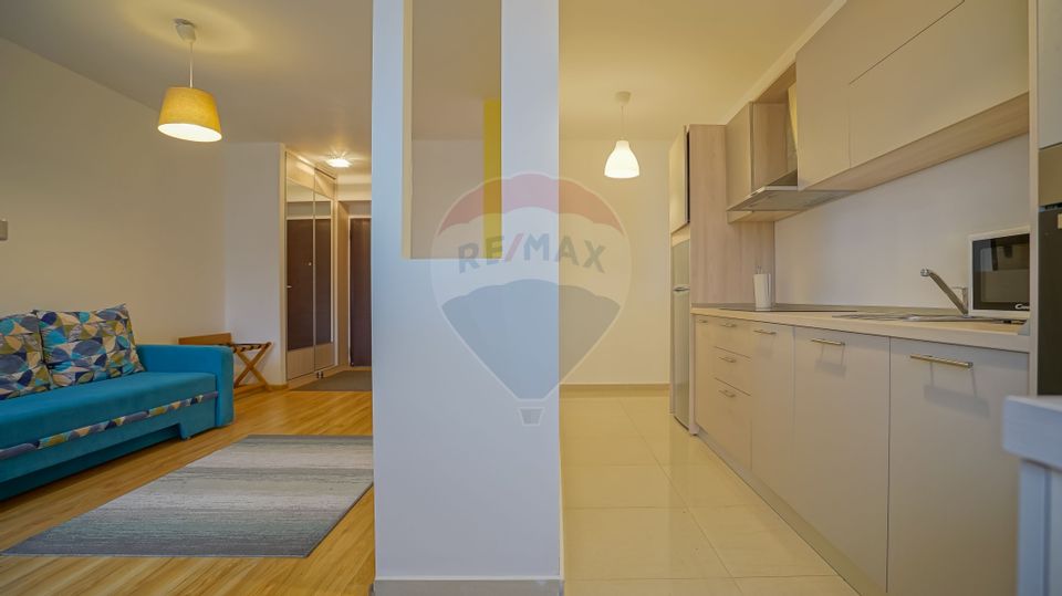 1 room Apartment for rent, Drumul Poienii area