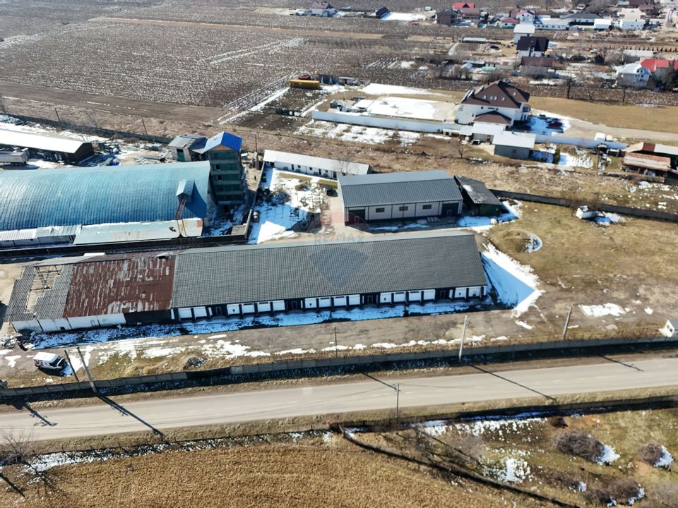 Hale industriale de închiriat în Tg Neamț