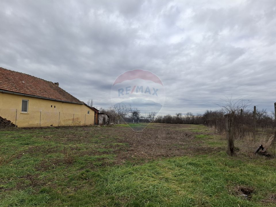 Land 1,241sqm Frumuseni / Strada FN