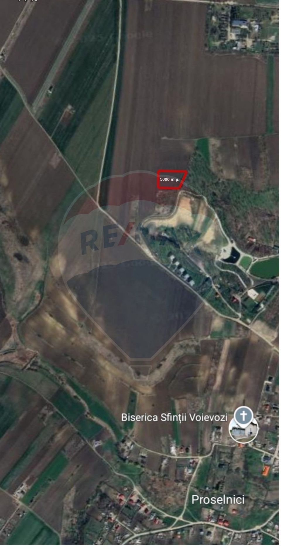 Teren 5,000mp Vorovesti / None