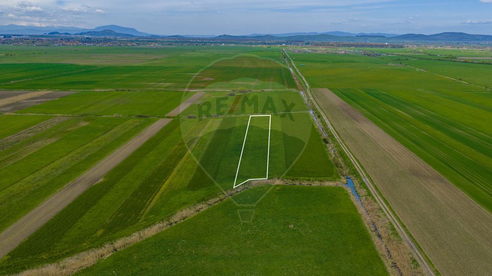 Land 4,000sqm Stupinii Prejmerului / Strada FN