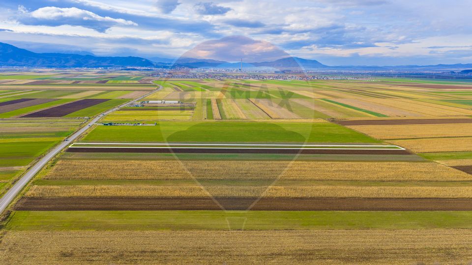 Teren 10,000mp Tarlungeni