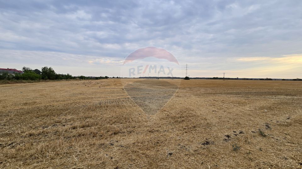 Teren intravilan Buftea, soseaua Tamasi