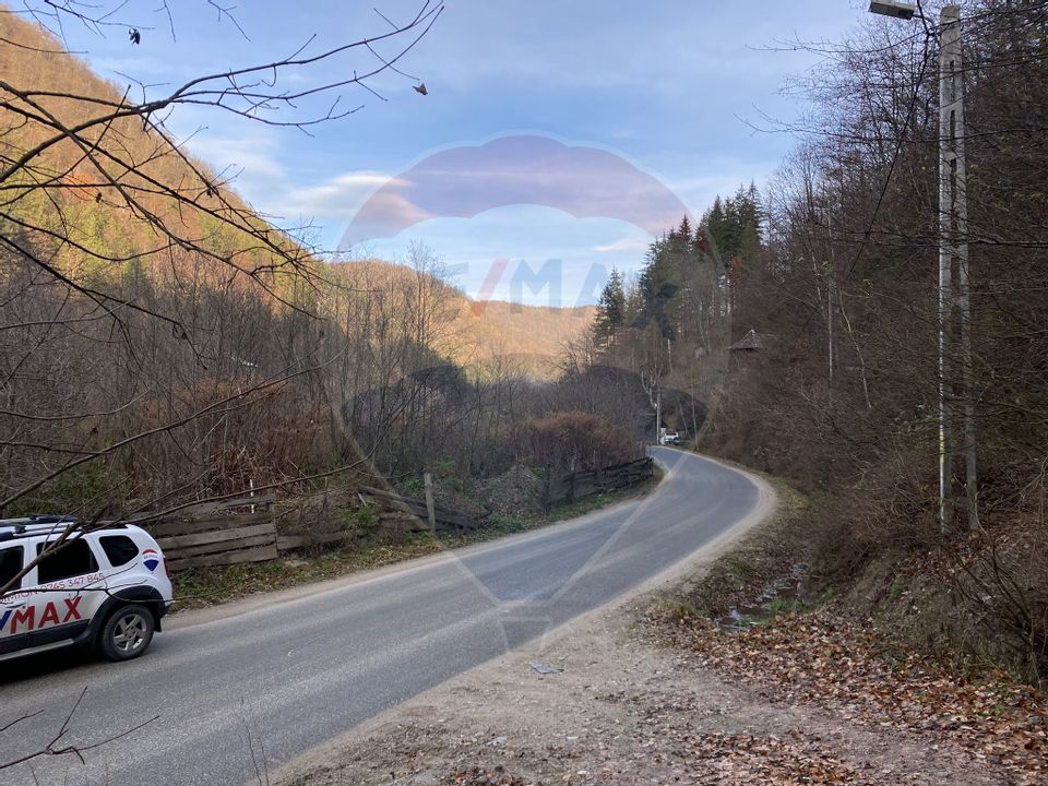 Land 1,000sqm Valea Ierii / Drumul Principala