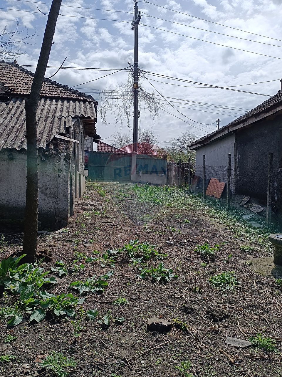 Teren  intravilan 867mp Moara Vlasiei / Soseaua Eroilor