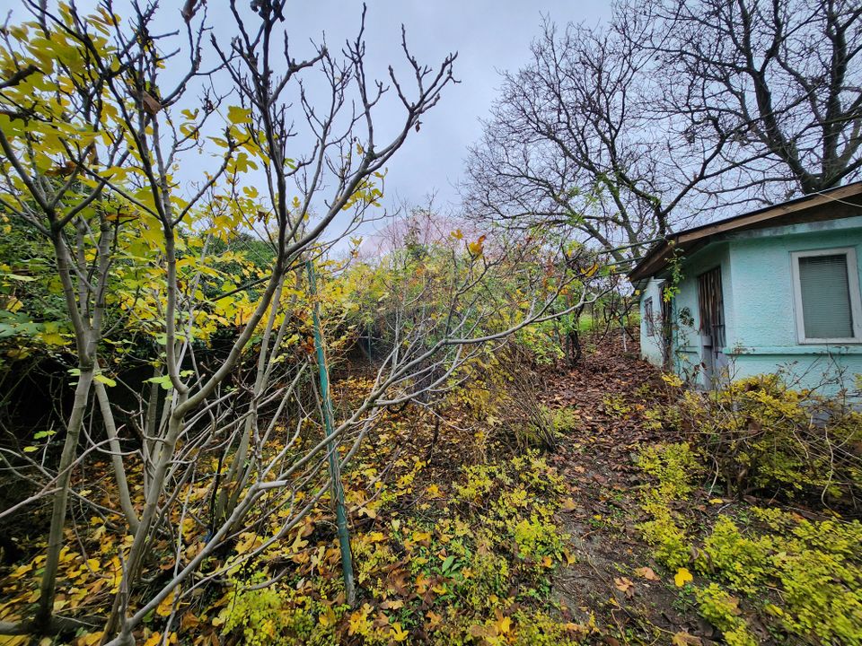 3 room House / Villa for sale