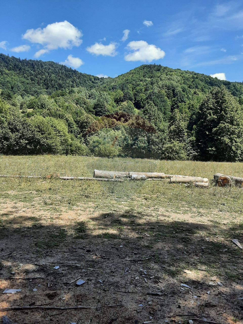 Land 1,340sqm Garcina / Strada Cuejdiului