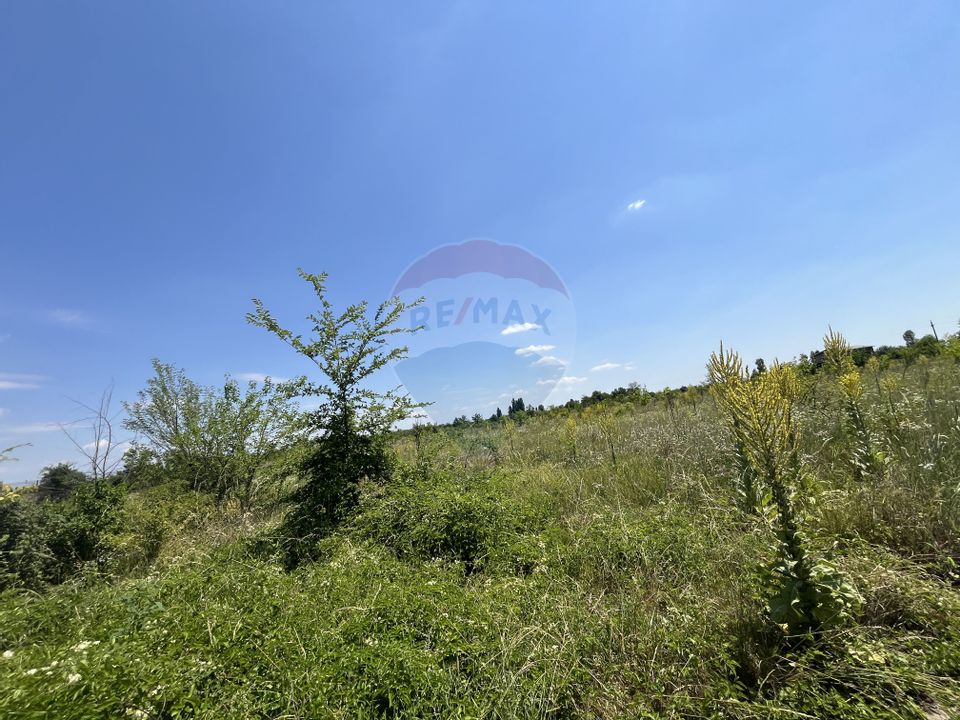 Land 15,700sqm Afumati / Strada Moara Domneasca