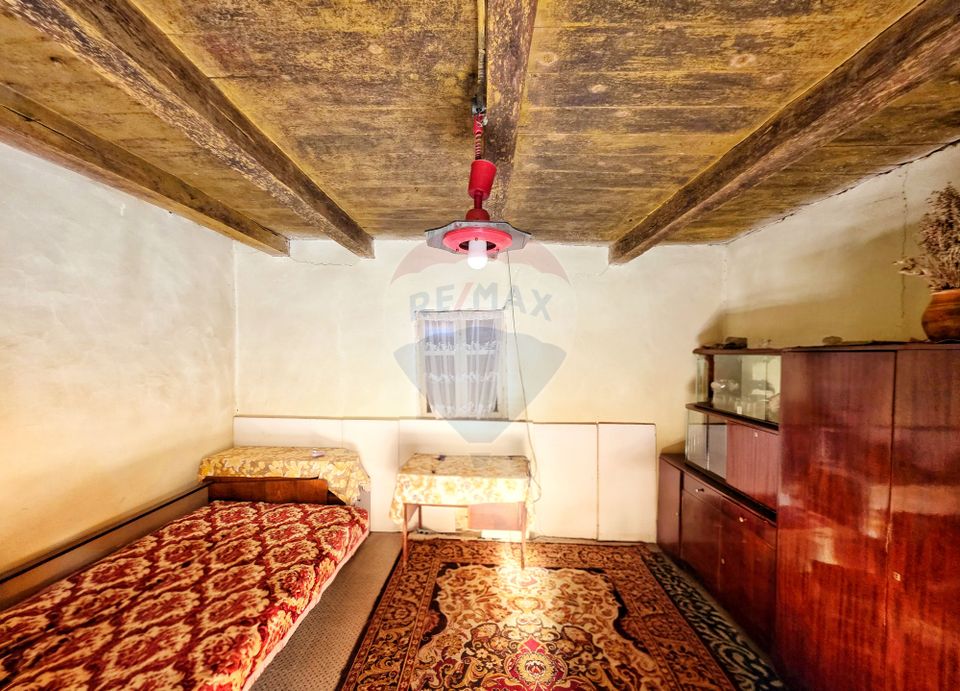 Moștenirea din Iersnic: poveste, utilități urbane și liniste banateana