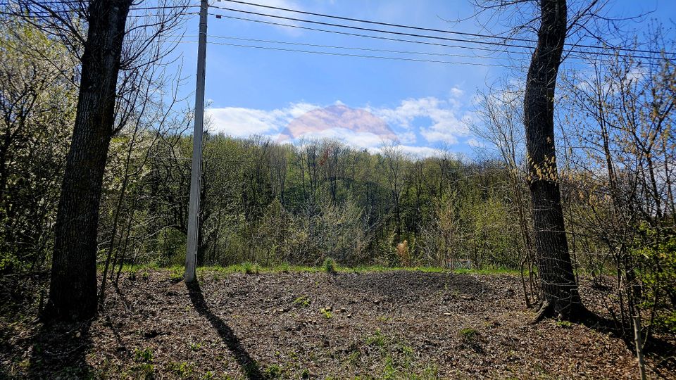 Land 10,000sqm Nemtisor / DJ 155C