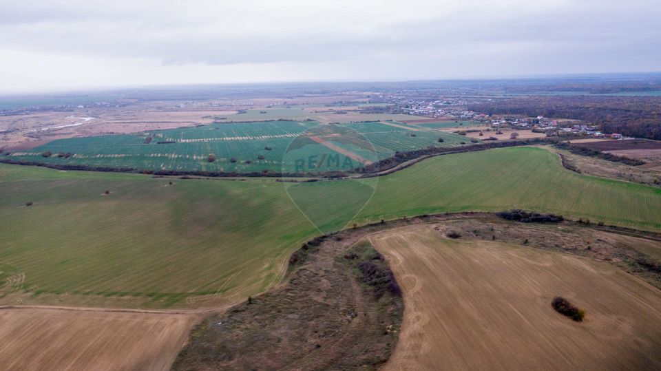 Land 310,000sqm Catunu (Berceni) / Intrarea tarla 17
