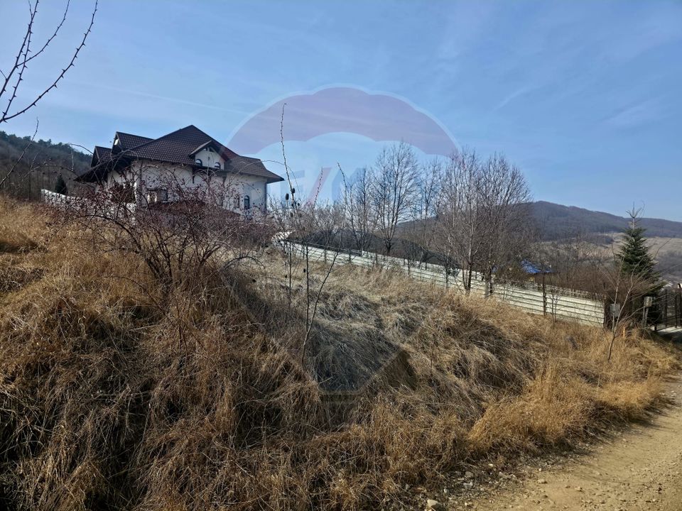 Land 500sqm Piatra-Neamt / Strada Pietrelor