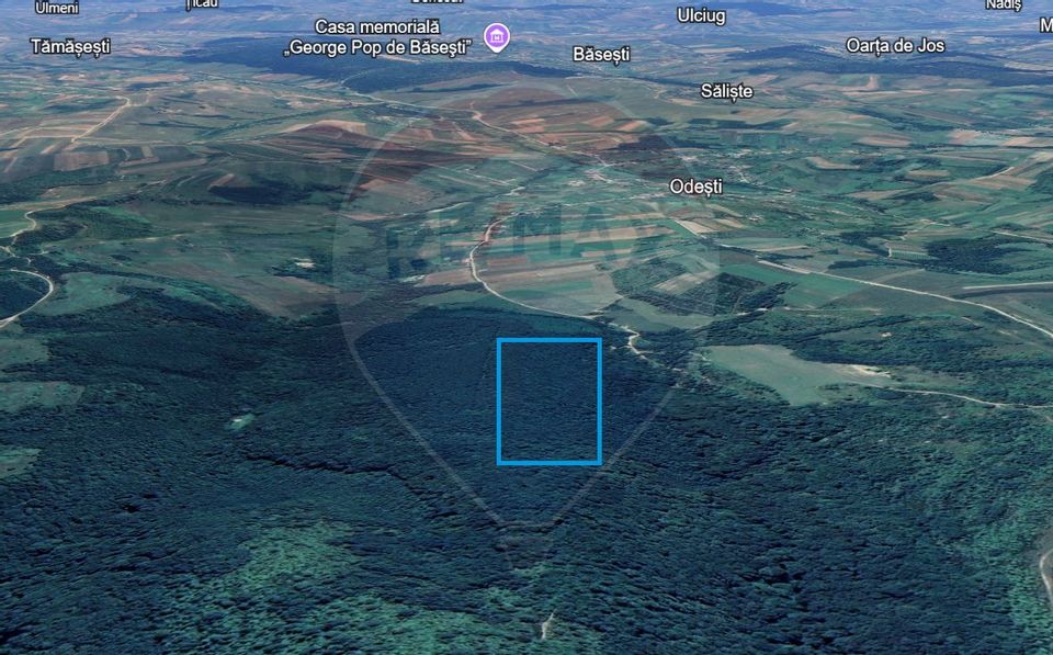 Pădure de vanzare cu zona de cabană Odesti