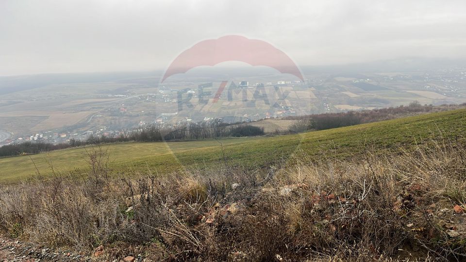 Land 544sqm Padureni (Chinteni) / Strada Principala