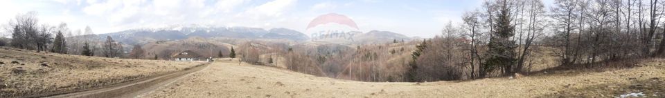 Comision 0%! Teren Moieciu de Jos 1500 mp