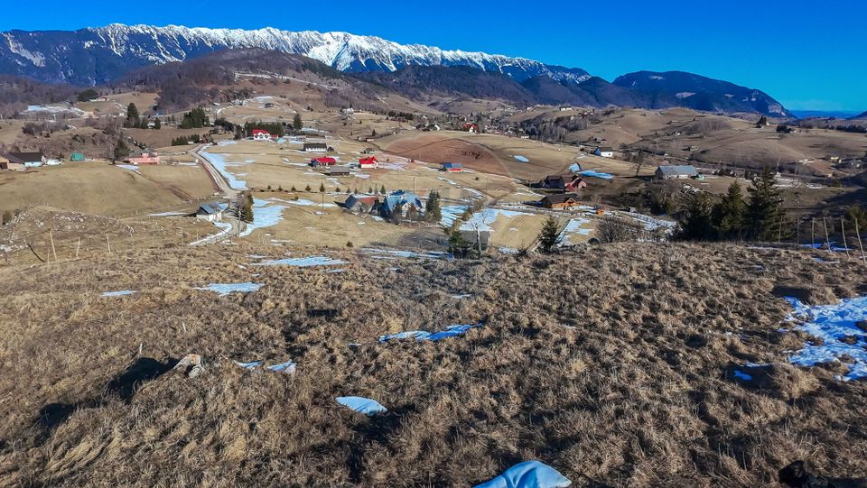 Land 3,756sqm Sirnea / None