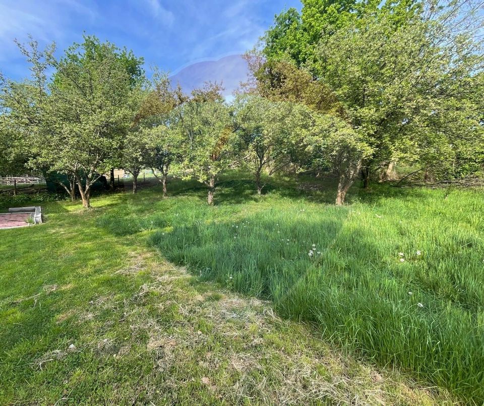 Teren sat Vale / Strada Principala