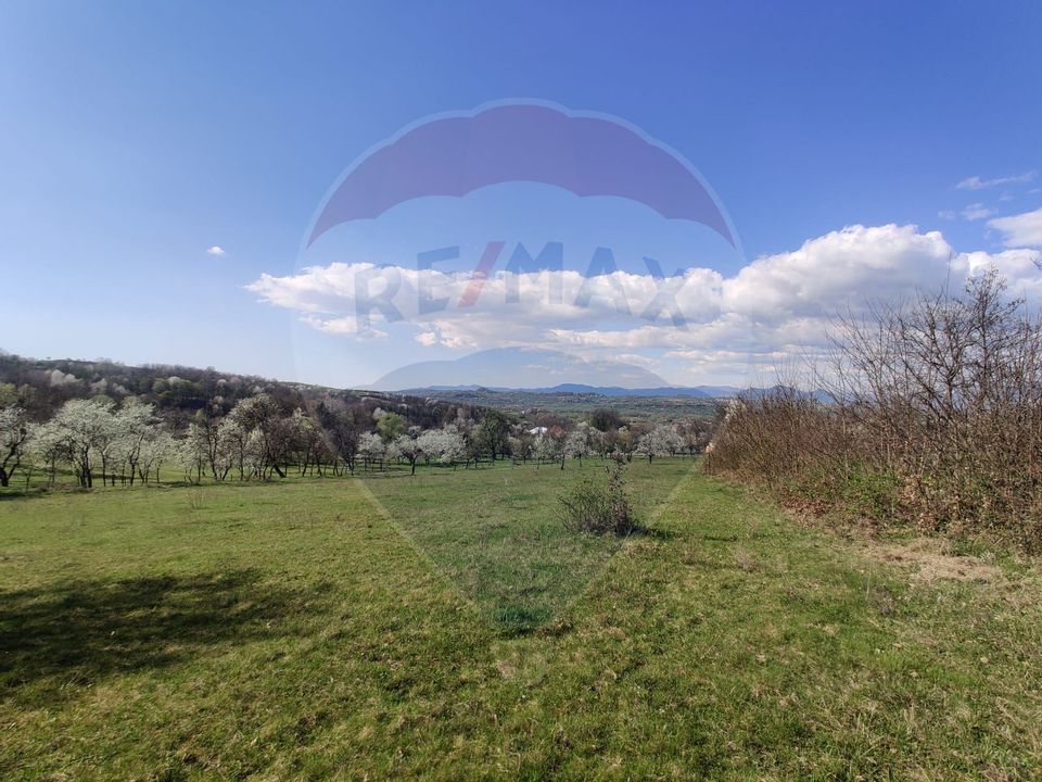 Teren intravilan pentru casă Cărbunari