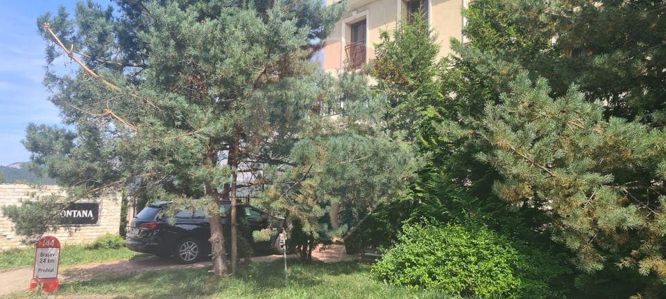 Land 3,969sqm Predeal / Strada Mihail Saulescu