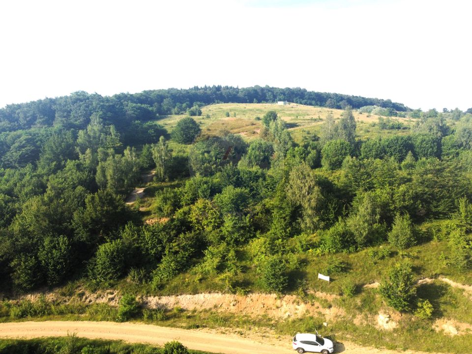 Teren de vanzare in Salicea, 10000 MP , Zona Moara de vant!