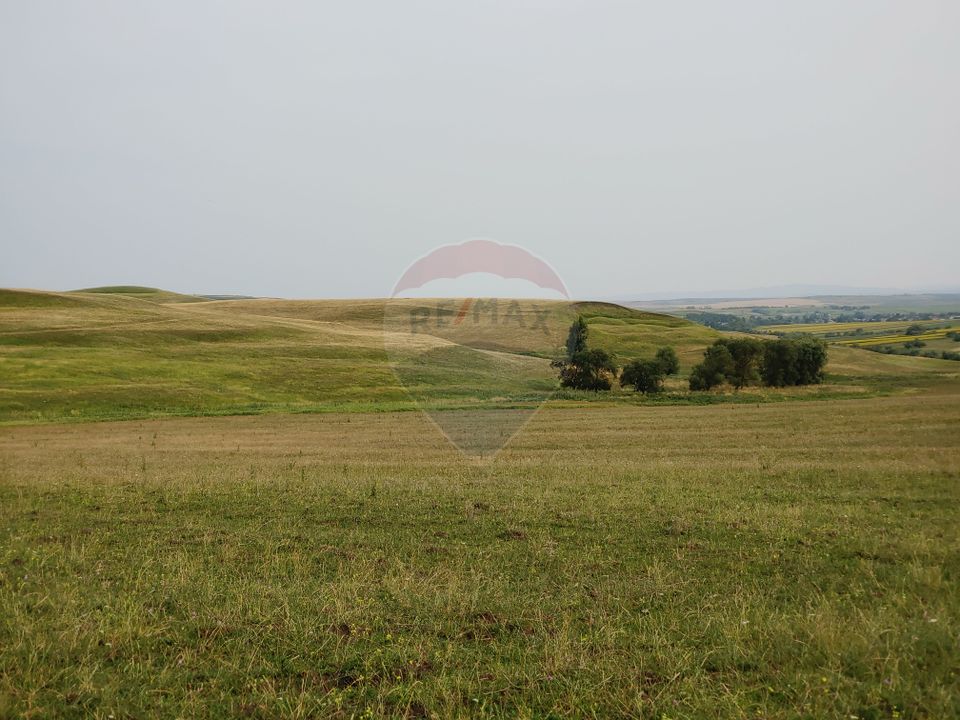 Teren parțial intravilan-300000mp Stroiești-Trei Movile, Suceava