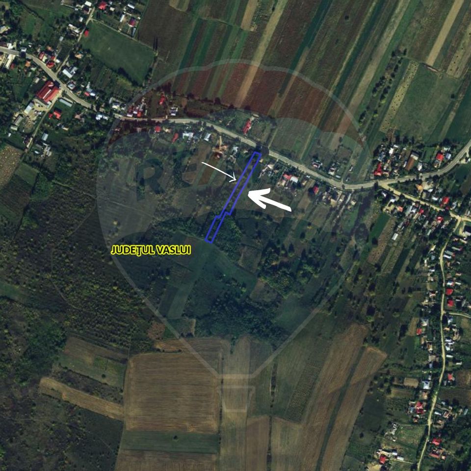 Land 9,800sqm Ivanesti / DN 2f nr 25