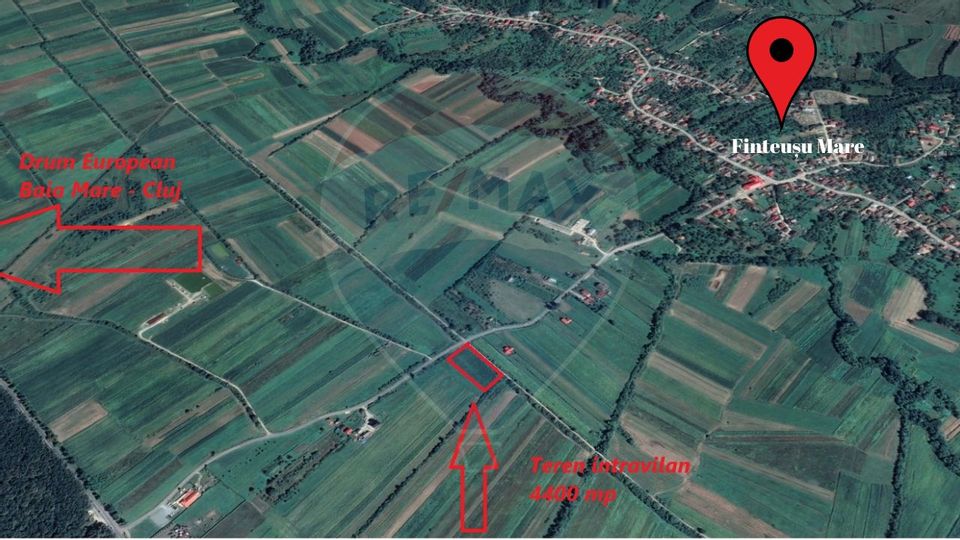 Land 4,400sqm Finteusu Mare / Stradela Principala