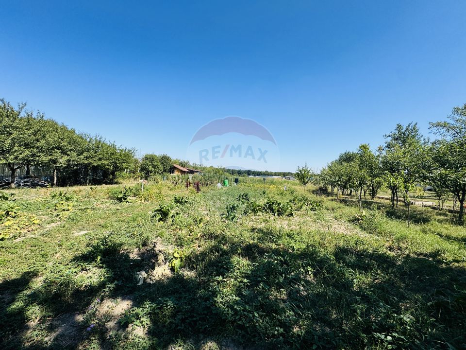 Teren 6,210mp Apateu / Strada Principala