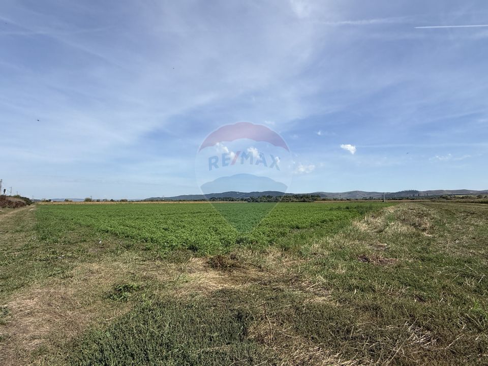 Land 11,300sqm Bontida / Drumul Fara Nume