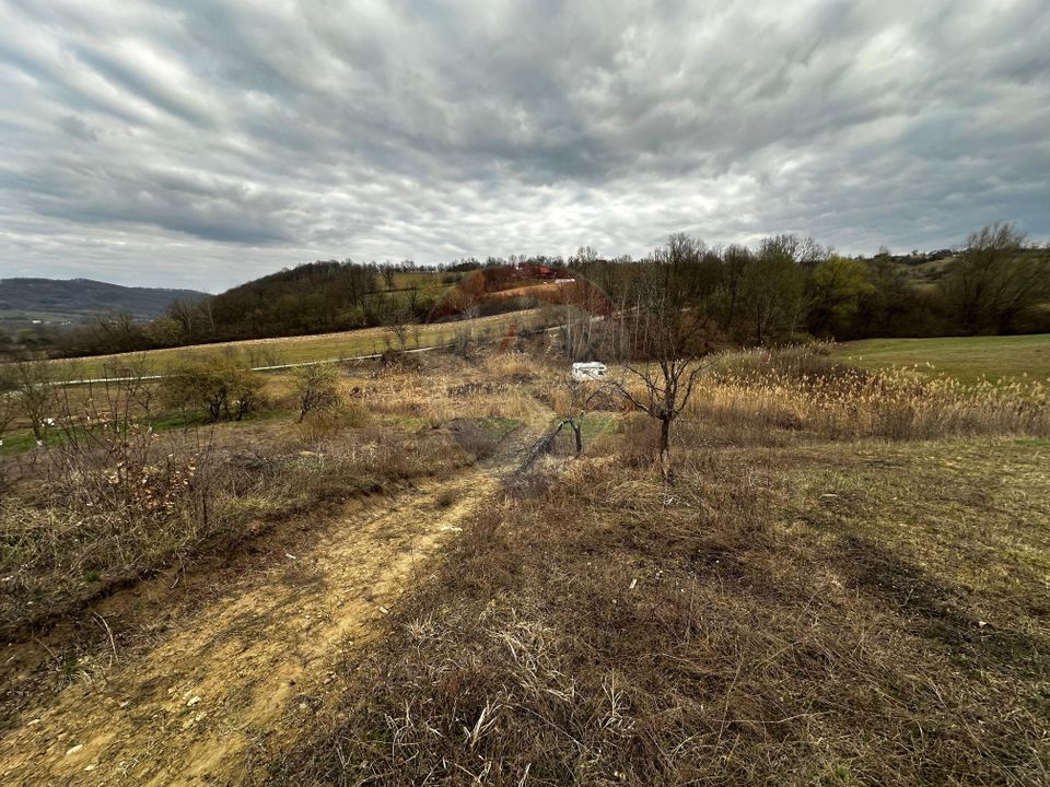 Teren cu panorama superba în Berchezoaia + bonus rulota