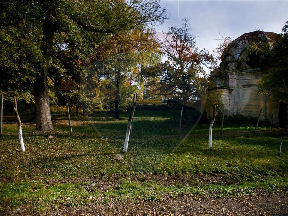 Domeniu Baronial de vanzare in localitatea CIL , Judet Arad