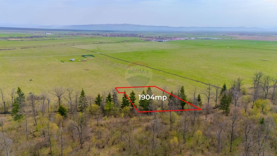 Teren Crizbav 1904 mp/PUZ/Langa Padure/Intravilan