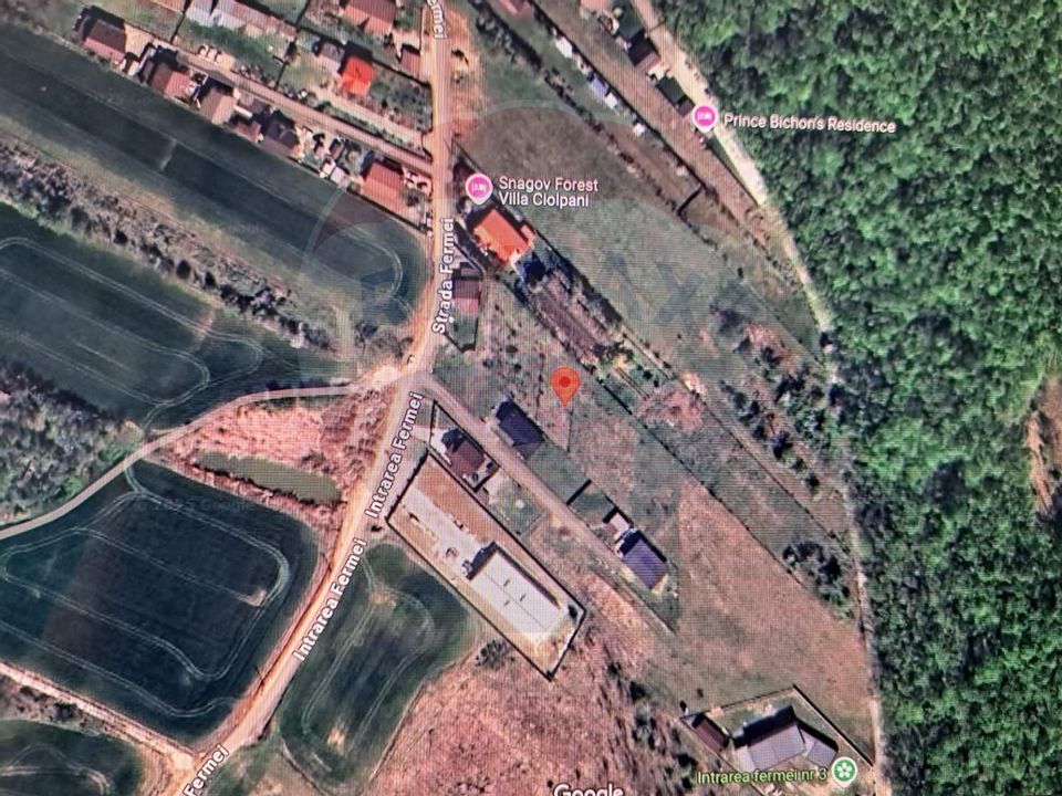 Lot teren 450 mp langa padure Ciolpani Fermei