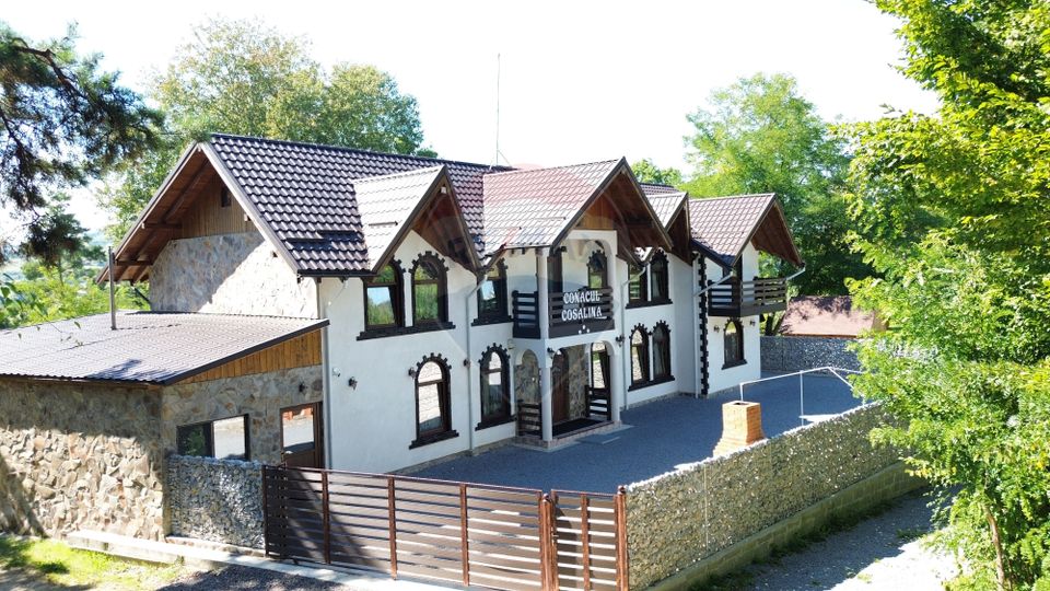 11 room Hotel / Pension for sale, Central area