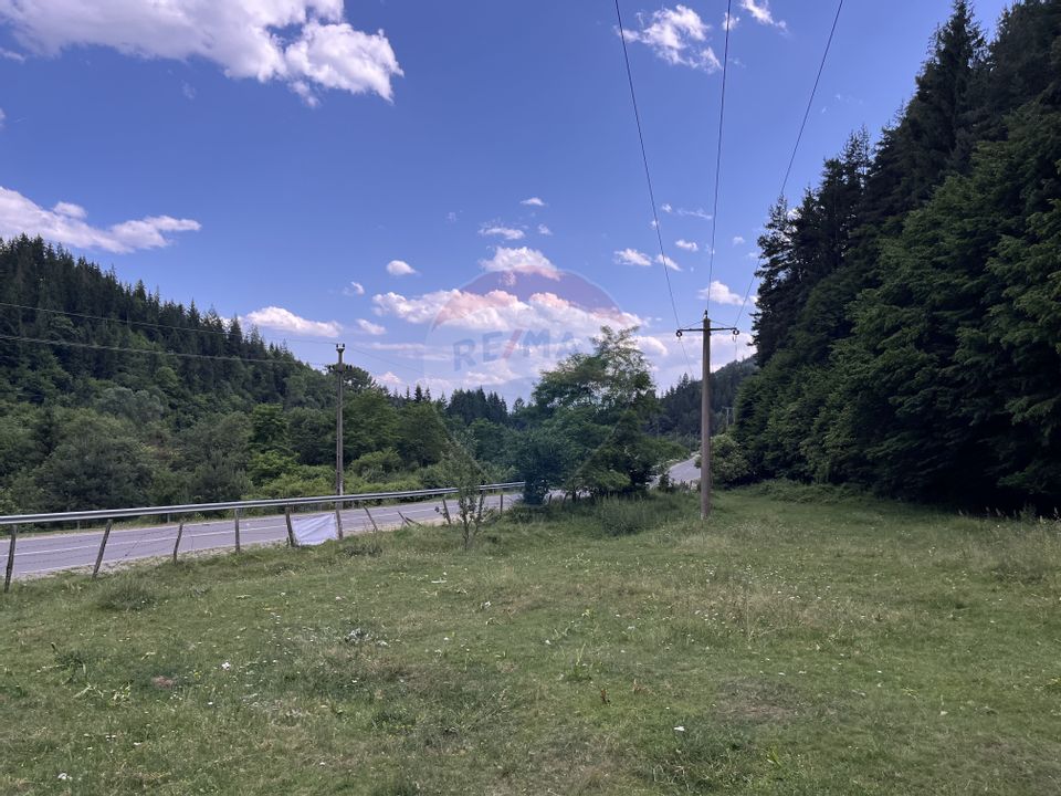 Teren spectaculols de vânzare la baza Muntelui Iezer – 11.546 mp c