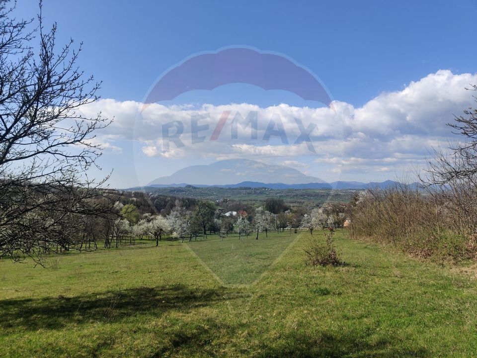 Teren intravilan pentru casă Cărbunari