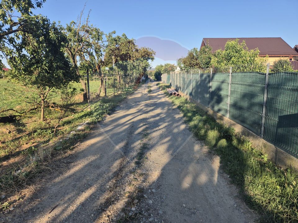 Teren 5,000mp Rusi-Ciutea / Strada Margaretelor