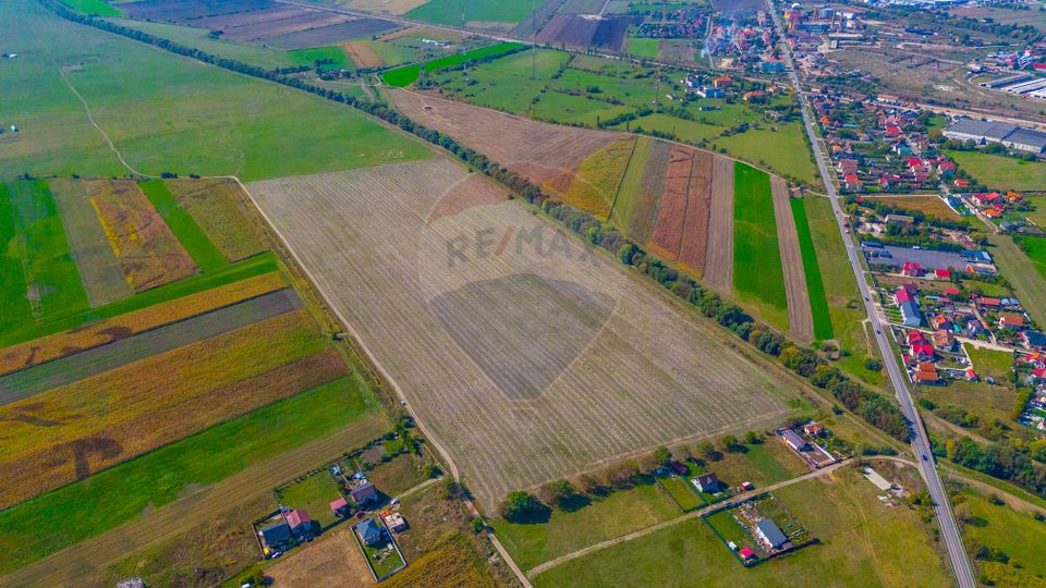 Teren 10,000mp Bod/Extravilan