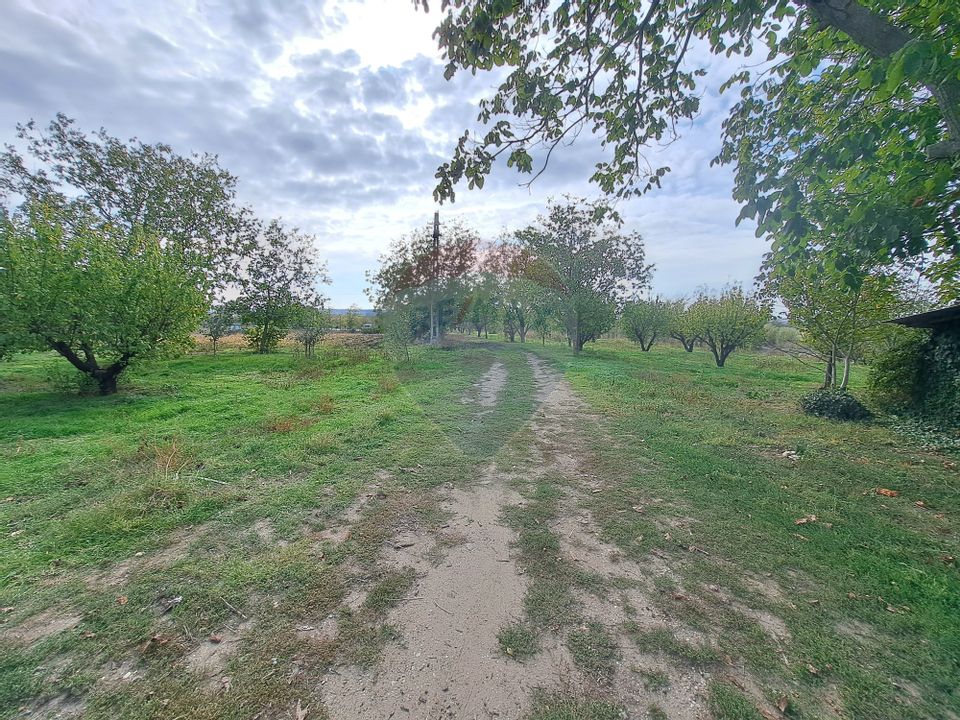 Land 3 ha with front at 3 streets in Calarasi county, DN4 - Soldanu