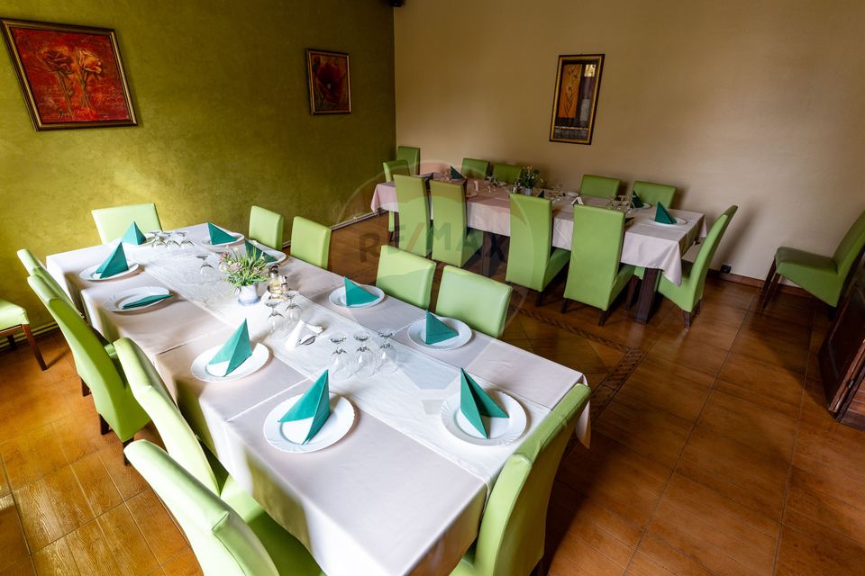 22 room Hotel / Pension for sale, Central area