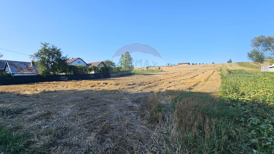 Land 7,500sqm Moara Carp / Strada Eternitatii