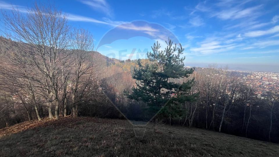 Hillside Panorama Estate – 17,684 sqm in Schei, Brașov