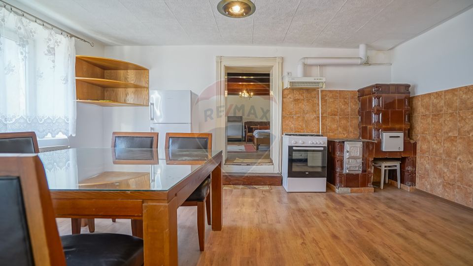 Ultracentral , Cristian, locuinta saseasca, curte comuna