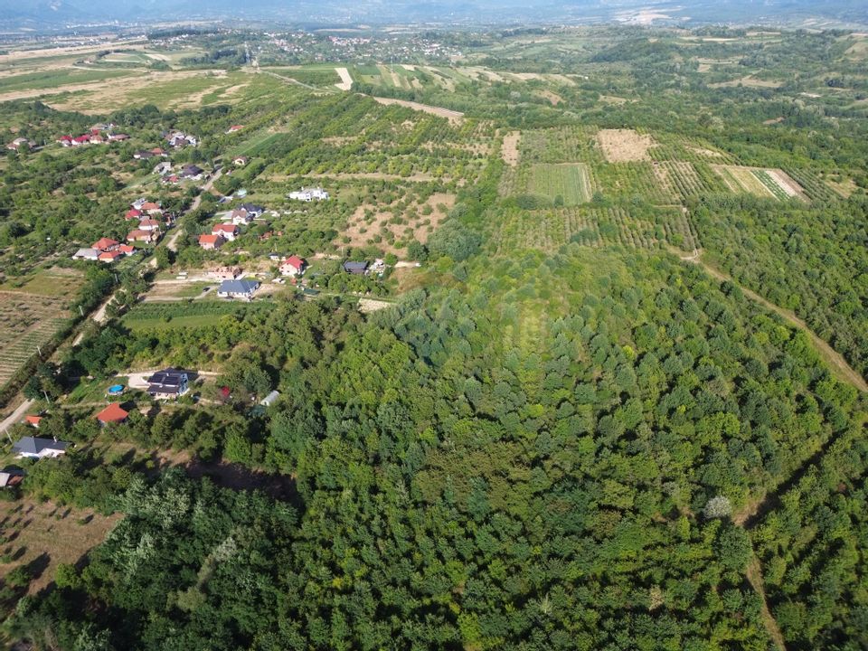 TEREN DE VANZARE PENTRU DEZVOLTARE IMOBILIARA