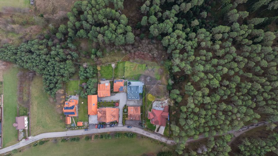 Vila moderna cu vedere spre padure Poiana Angelescu