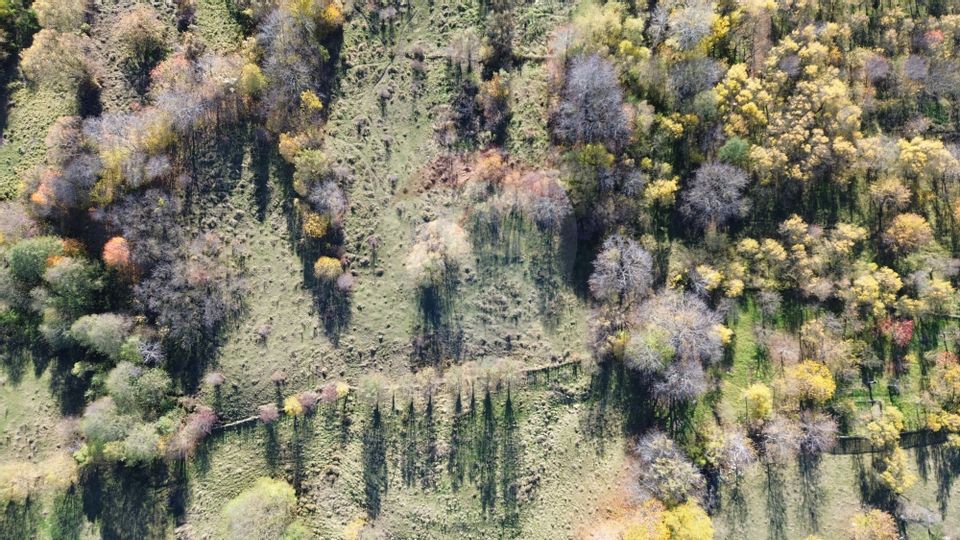 4 room House / Villa for sale