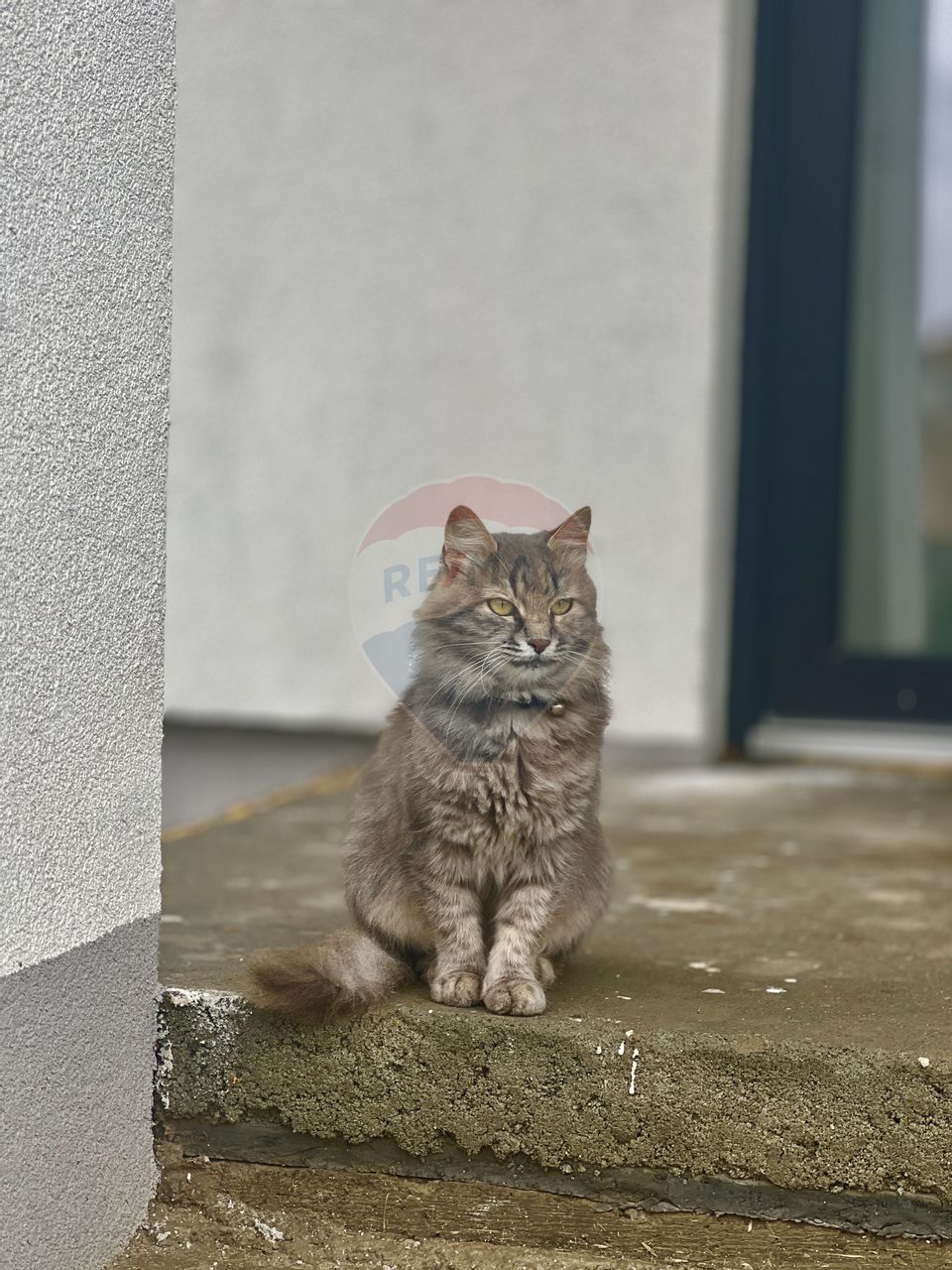 Casă nouă – construcție 2025, parter, comuna Berceni – Str. Primăverii