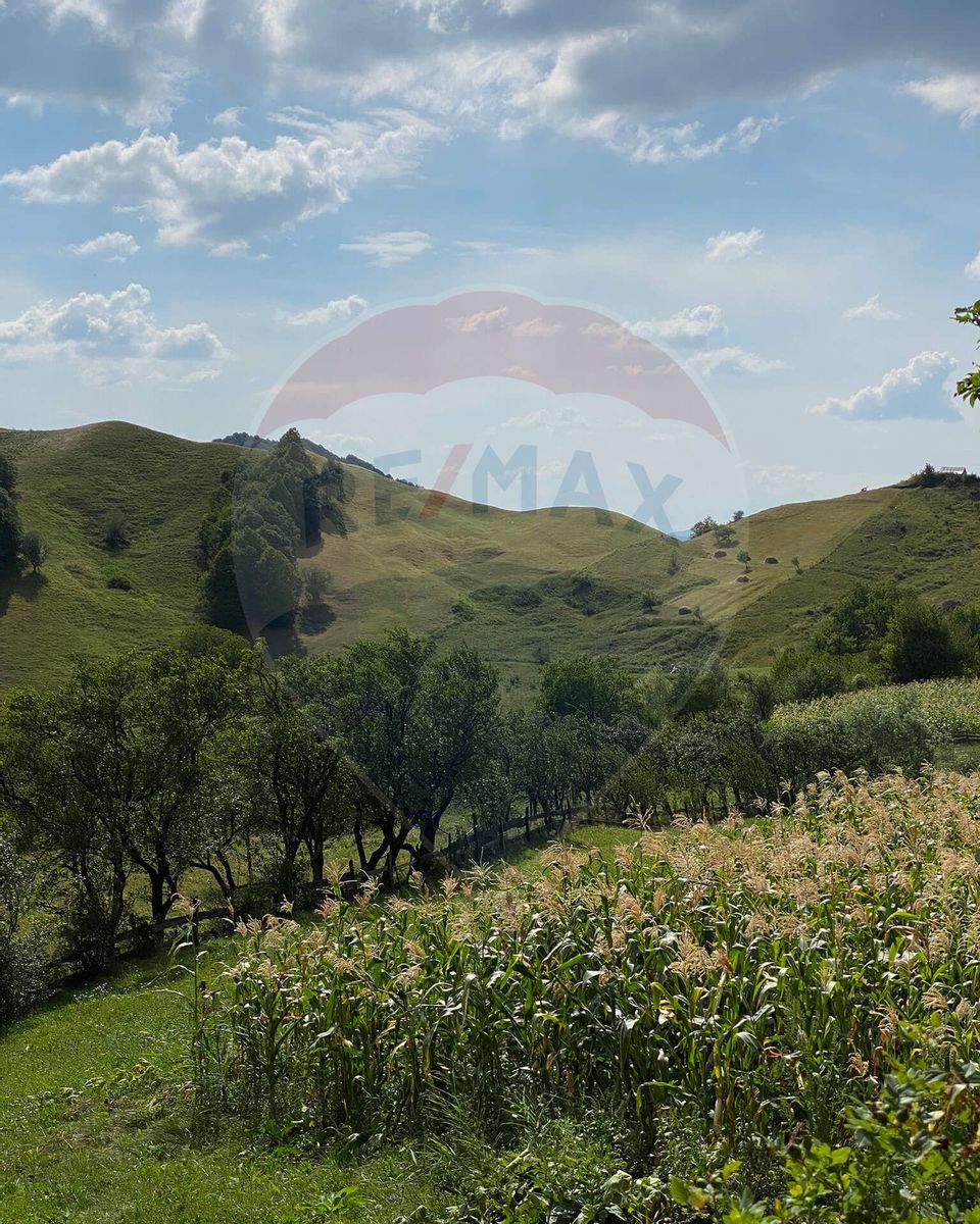 Guesthouse for sale | 12 rooms | Bisoca / Buzau